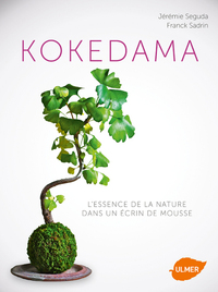 Image de Kokedama. L'essence de la nature dans un écrin de