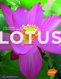 Image de Lotus - Les connaître et les réussir sous nos climats