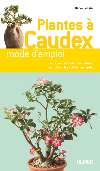 Picture of Plantes à caudex de A à Z