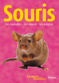 Image de Souris