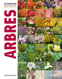 Image de Arbres