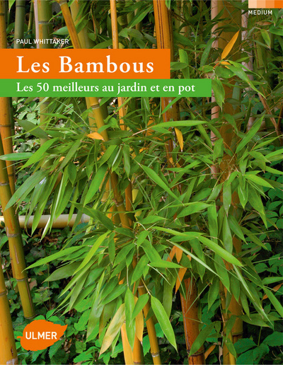 Image de Bambous. Les 50 meilleurs au jardin et en pot