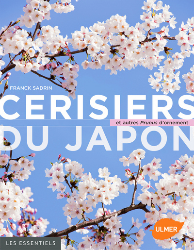 Image de Cerisiers du Japon et autres Prunus d'ornement
