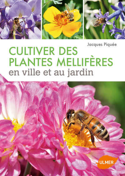 Image de Cultiver des plantes mellifères en ville et au jardin