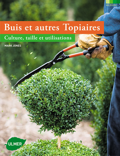 Image de Buis et autres topiaires