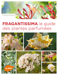 Image de Fragrantissima. Le guide des plantes parfumées