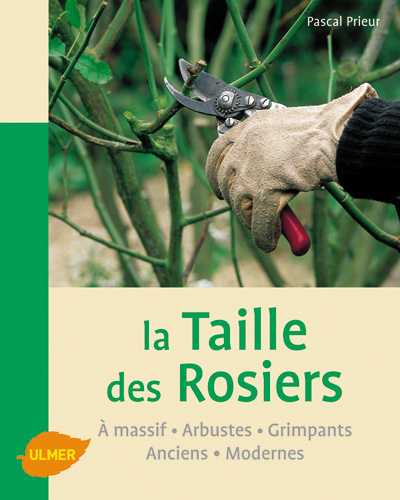 Picture of La taille des rosiers