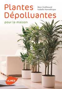 Image de Plantes dépolluantes pour la maison