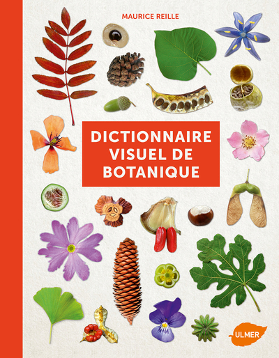 Image de Dictionnaire visuel de botanique