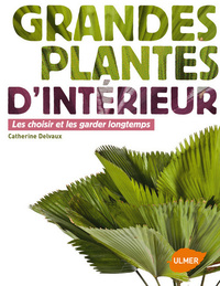 Picture of Grandes plantes d'intérieur - Les choisir et les garder longtemps