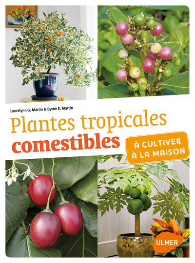 Image de Plantes tropicales comestibles à cultiver à la maison