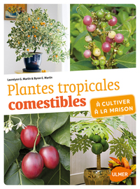Image de Plantes tropicales comestibles à cultiver à la maison