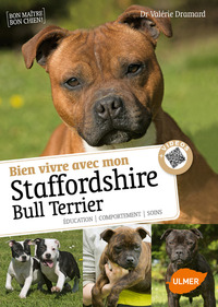 Image de Bien vivre avec mon Staffordshire Bull Terrier + Vidéos