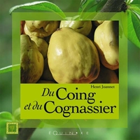 Picture of Du coing et du cognassier