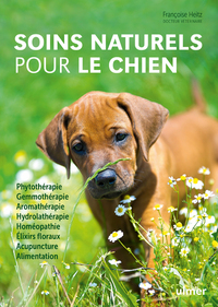 Image de Soins naturels pour le chien