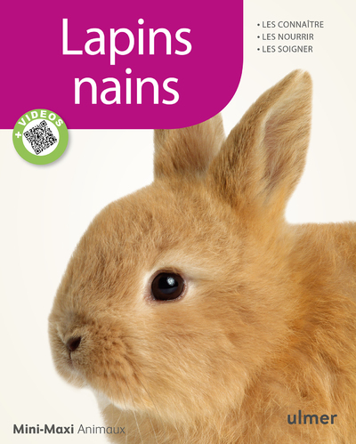 Image de Lapins nains
