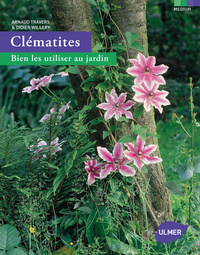 Image de Clématites