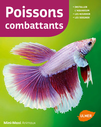 Image de Poissons combattants