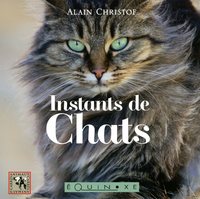 Image de Instants de chats