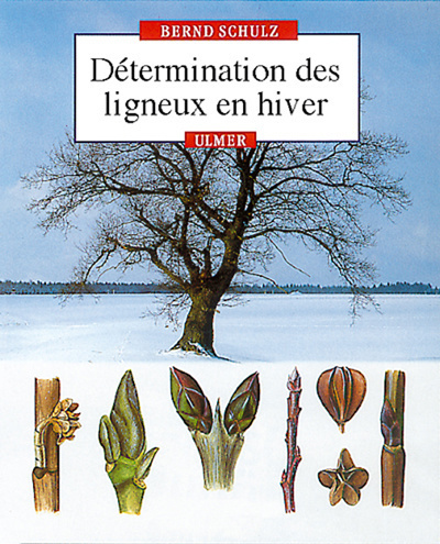 Image de Détermination des ligneux en hiver