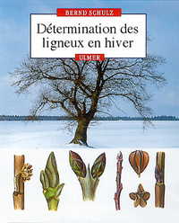 Image de Détermination des ligneux en hiver