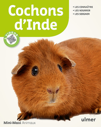 Image de Cochons d'Inde