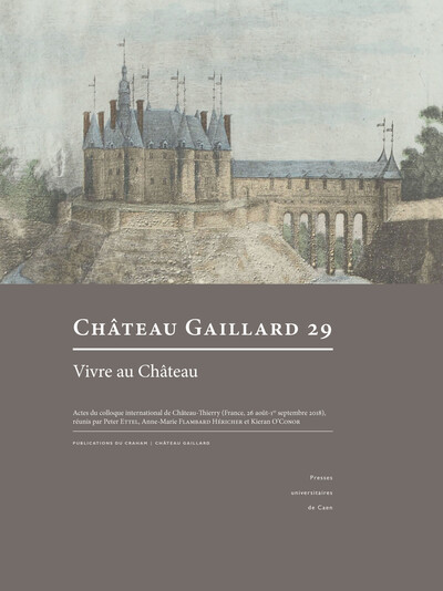 Picture of Château Gaillard, n° 29