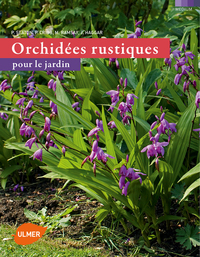 Image de Orchidées rustiques pour le jardin