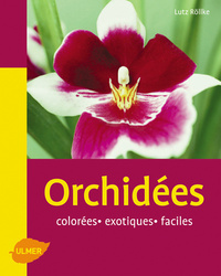 Image de Orchidées