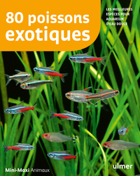 Image de 80 poissons exotiques