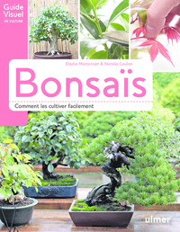 Image de Bonsaïs - Comment les cultiver facilement