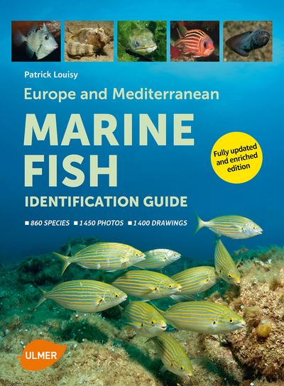 Image de Marine Fish - Identification guide
