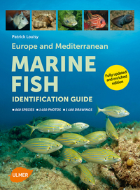 Image de Marine Fish - Identification guide