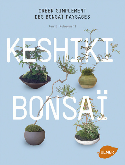 Image de Keshiki Bonsaï. Créer simplement des bonsaï paysages