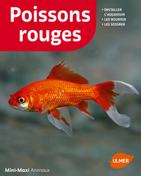 Image de Poissons rouges (NE)