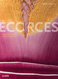 Picture of Ecorces. Galerie d'art à ciel ouvert