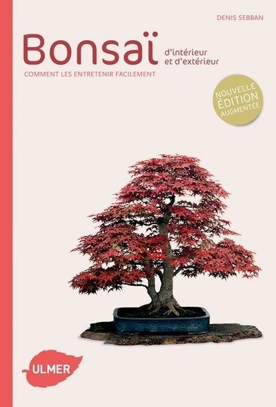 Image de Bonsaï d'intérieur et d'extérieur (NE)