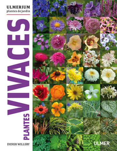 Image de Plantes vivaces