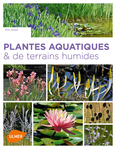 Image de Plantes aquatiques & de terrains humides
