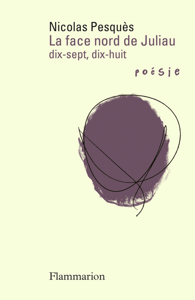 Picture of La face nord de Juliau. Dix-sept, dix-huit