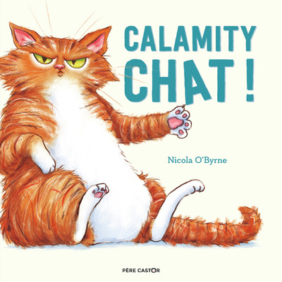 Picture of Calamity chat !