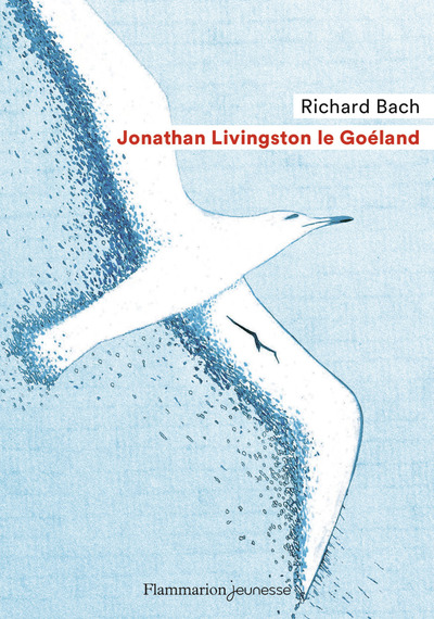 Image de Jonathan Livingston le Goéland