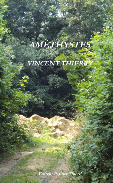 Image de AMÉTHYSTES