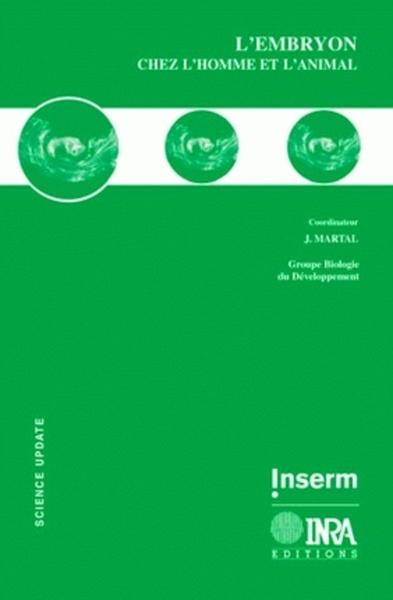 Image de L'embryon chez l'homme et l'animal