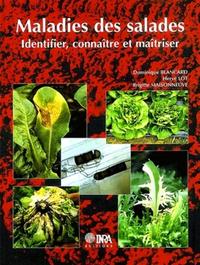 Image de Maladies des salades