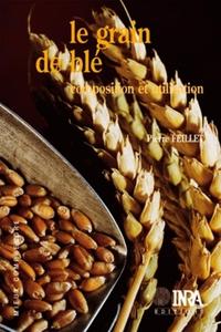 Image de Le grain de blé