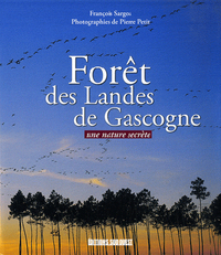 Picture of Foret Des Landes De Gascogne