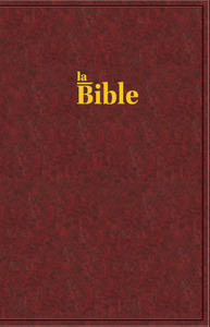 Picture of Bible Darby grand format, rigide brun-rouge