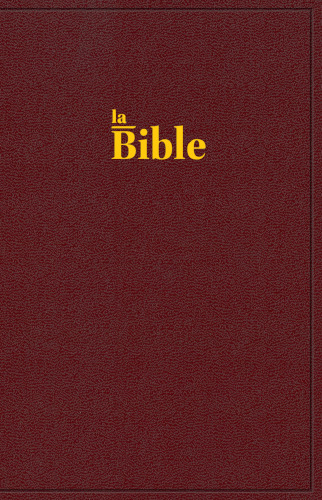 Picture of Bible Darby format standard, rigide grenat