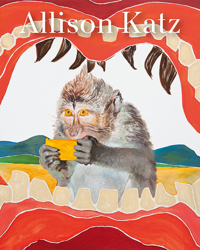 Image de Allison Katz